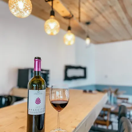 Milea Mansion Case de vacanță *